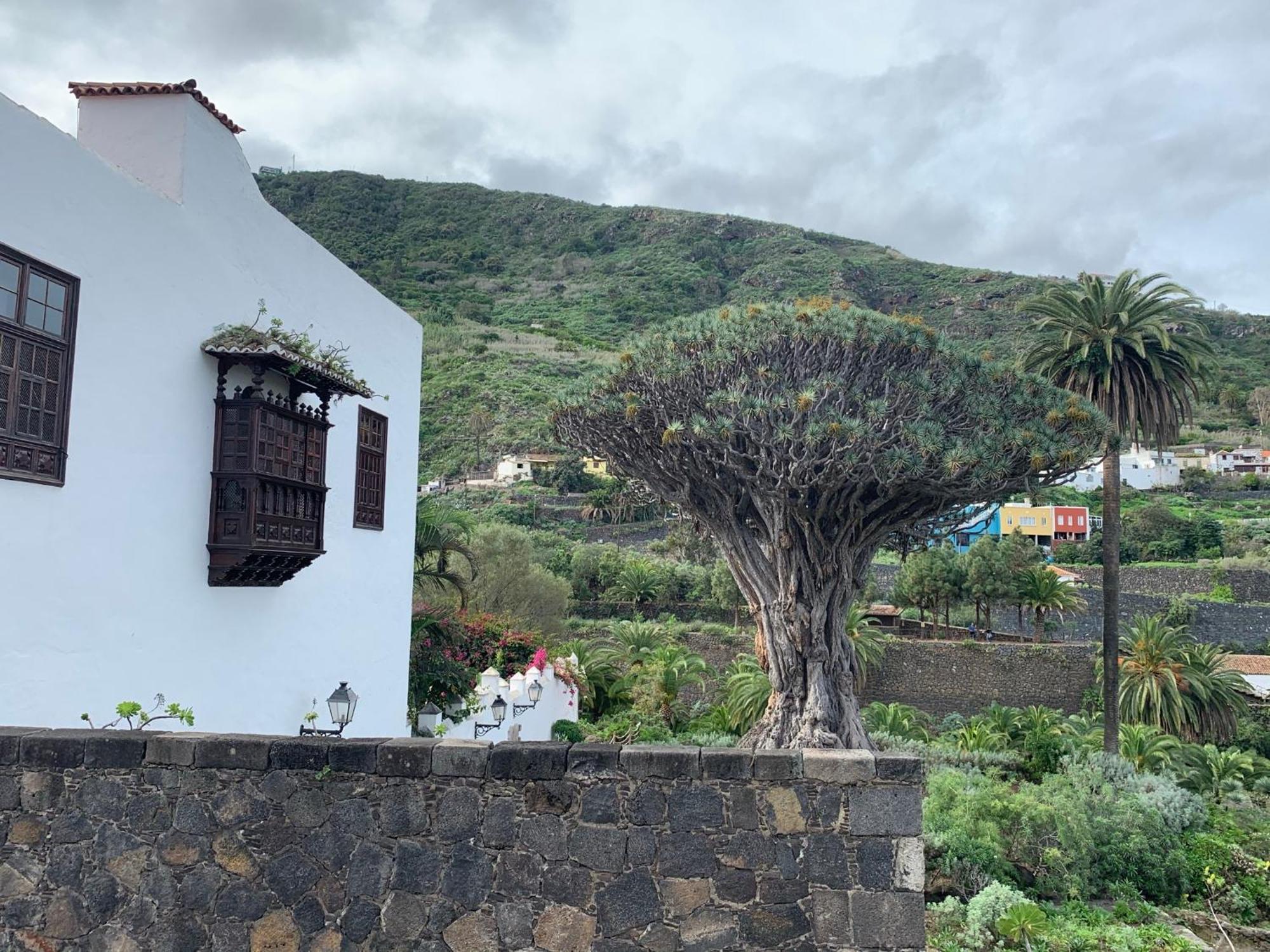 Villa Casa La Baja Garachico  Exterior foto